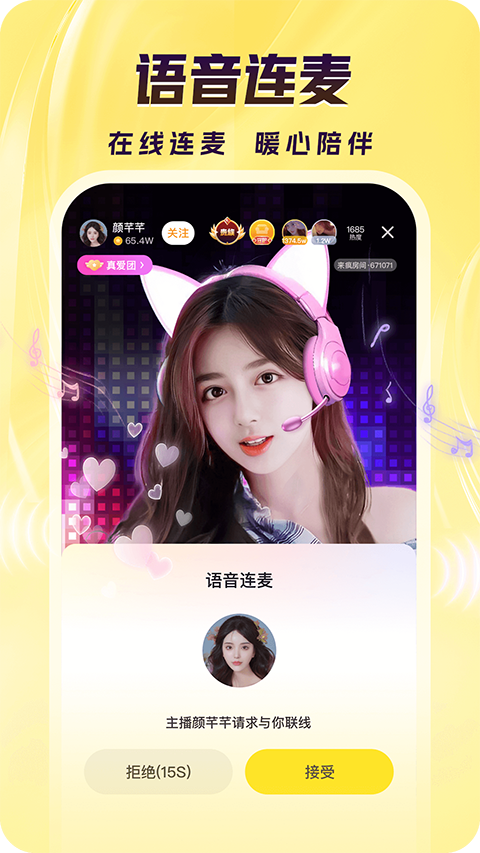 猫咪在向日葵花丛中追逐光斑的壁纸